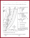 Ancient Israel-Palestine Map Worksheet