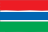 Gambian National Flag