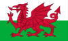 Welsh National Flag - Wales - Cymru