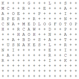 St. Patrick's Day Word Find Answer Key
