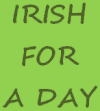 Irish for a Day