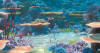 Finding Nemo Screensaver