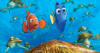 Finding Nemo