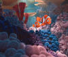 Finding Nemo Film Still
