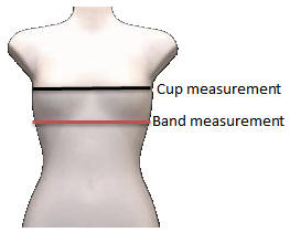 Bra Measurements for Cup and Band