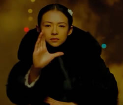 The Grandmaster (2013) Film Review and Guide