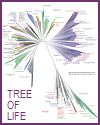 Tree of Life Published by Nature, 2016