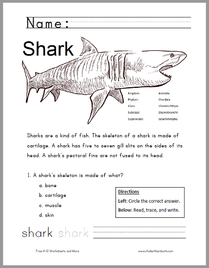 Free Printable Shark Worksheet for Grades 1-3