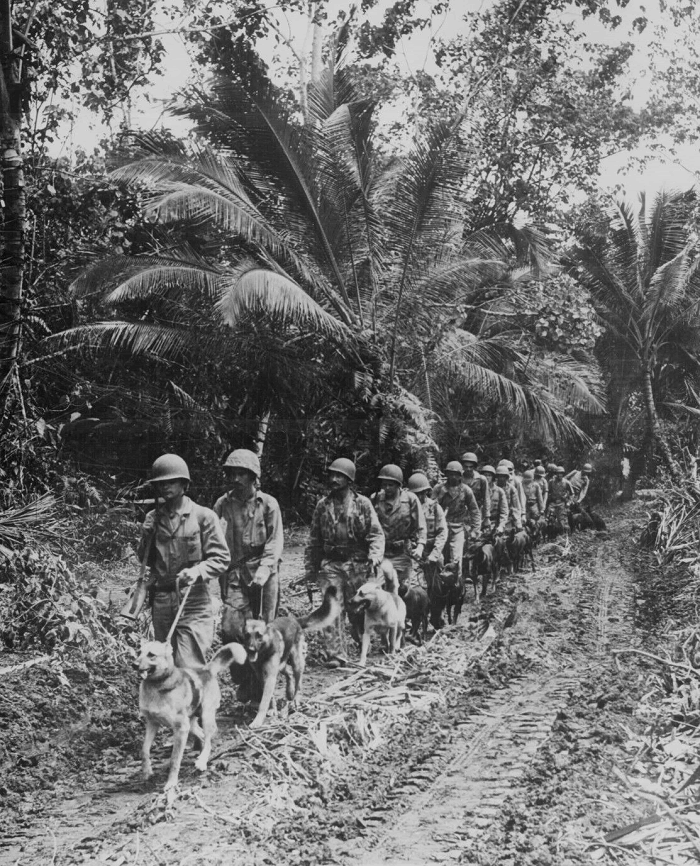 U.S. Marine Raiders with Dogs in WWII