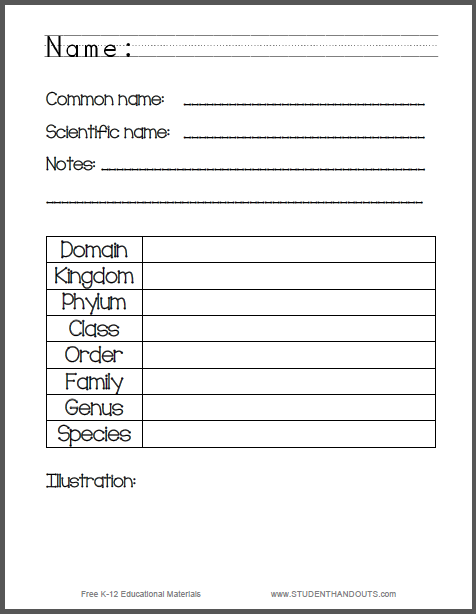 Life Fact Sheet for Science - Worksheet is free to print (PDF file)  for elementary Science students.