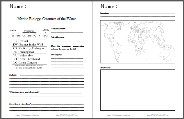 Marine Biology Fact Sheet - Free to print for Science students in grades four through twelve.