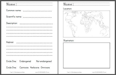 Monkey Around Project - Worksheets are free to print (PDF files) for lower elementary Science students.