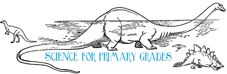 Science for Primary Grades