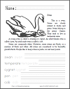 Swan Animal Classification Worksheet