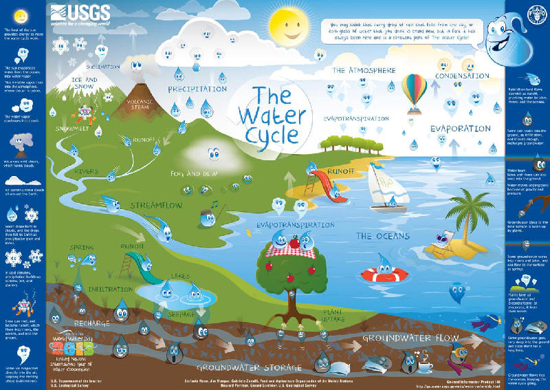 Water Cycle