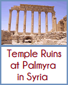 Temple Ruins at Palmyra in Syria