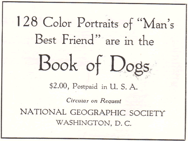 "Man's Best Friend" Book of Dogs