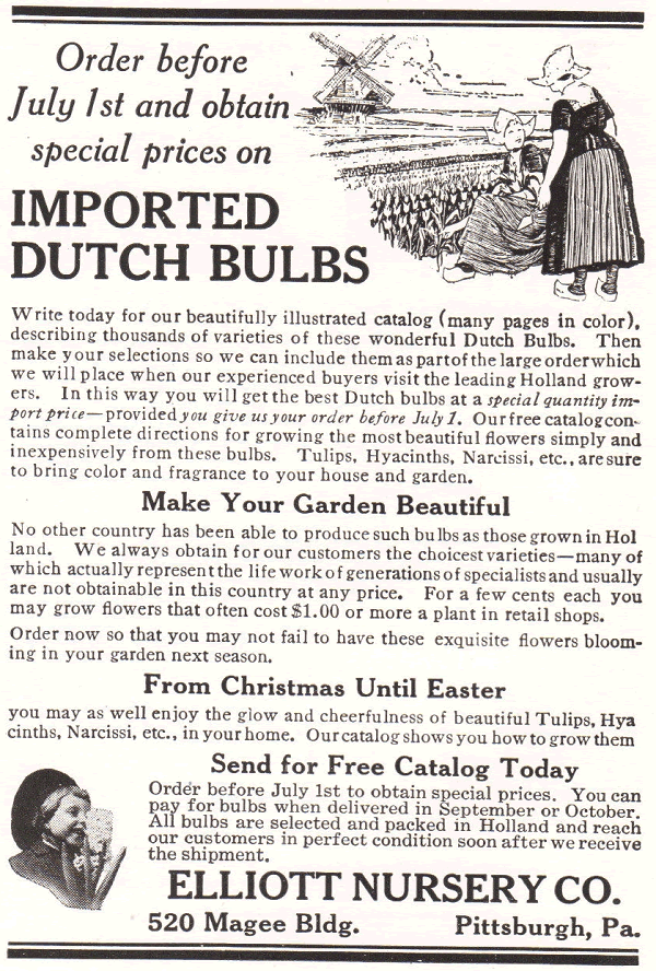 Dutch Bulbs by Elliott Nursery Company