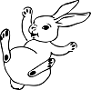 rabbit