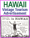 Hawaii Tourist Bureau Vintage Advertisement