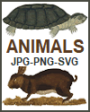 Animals Clip Art Gallery - JPG PNG SVG
