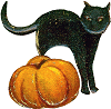 Black cat with an orange pumpkin from an antique Halloween postcard. JPG PNG SVG