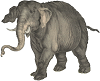 large African elephant