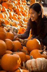 choosing a pumpkin at the grocery store autumn junior-sized journaling dashboard free to print