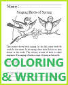 Singing Birds of Spring Primary School Worksheet