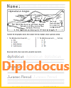 Diplodocus Worksheet with Infographic and Questions