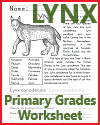 Lynx Worksheet