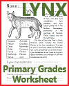 Lynx Informational Text Worksheet