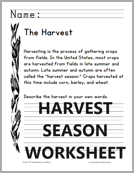 Harvest Season Primary Worksheet - Free to print (PDF file).