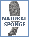 Natural Sponge