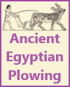 Ancient Egyptian Plowing