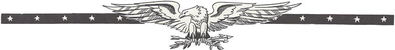 American eagle banner