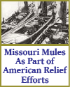 Missouri Mules As Part of American Relief Efforts