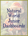 Natural World Junior Dashboards