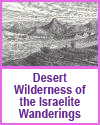 Wilderness of the Israelite wanderings.