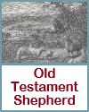 Old Testament Shepherd